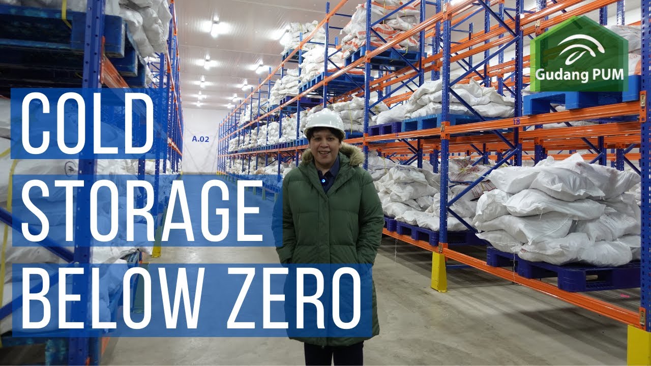 How Cold is our cold storage at Gudang PUM?